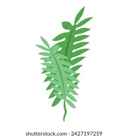 Marine seaweed icon isometric vector. Alga plant. Ocean grass