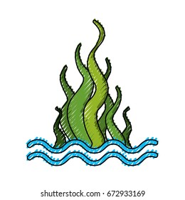 marine seaweed sealife icon