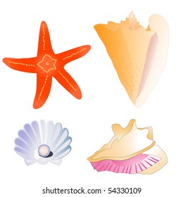 Marine set