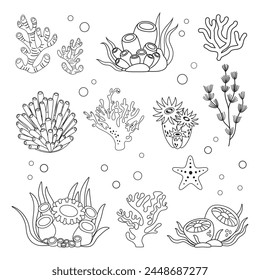 Marine set, algae and coral in simple linear style. Black and white graphics for books and posters