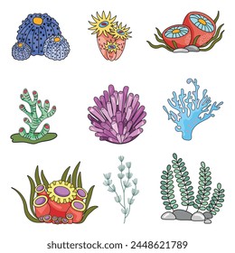Marine set, anemones, algae and coral in a simple cartoon style. Color graphics for books and posters. children guides