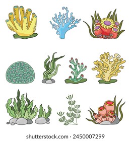 Marine set, anemones, algae and coral in a simple cartoon style. Color graphics for books and posters. children guides