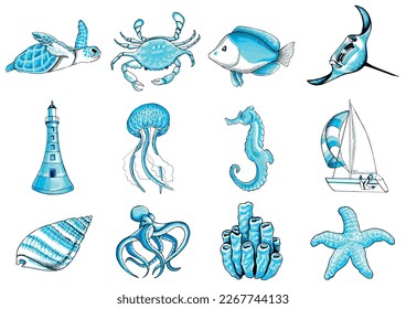 Marine set aqua color. EPS vector illustration marine animals.