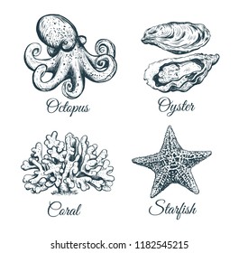 The Marine Set. Collection sketch Octopus, coral, oyster, starfish