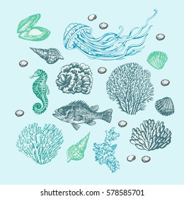 Marine set of graphic. Vector illustration. Illustration for greeting cards, invitations, and other printing projects.