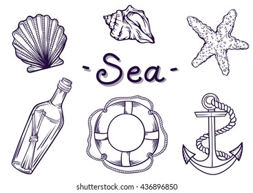 Marine set. Set of hand drawn seashells, anchor, lifebuoy and bottles.
