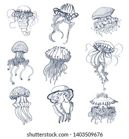 marine set. jellyfish isolated on white background. hand drawing vector.