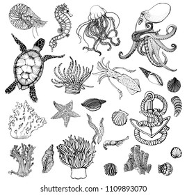 marine set, vector illustration, hand drawing, black outline, sea turtle, seahorse, octopus, seashells