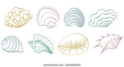 Elementos de concha marina en estilo de contorno incompleto. Conchas de Vector grabadas en tinta azul, roja, verde y naranja. Elementos de diseño náuticos retro sobre fondo blanco para imprimir, decoración, pegatinas