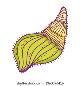 marine shell isolated icon