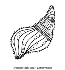 marine shell isolated icon