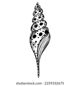 Marine spiral seashell or oceanshell with dots for design of invitation, fabric, textile, etc. Vector outline sketch black isolated illustration.