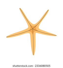 Marine starfish. Sea star fish, mollusc. Underwater undersea mollusk. Invertebrate animal shellfish. Tropical exotic seashell. Flat vector illustration isolated on white background