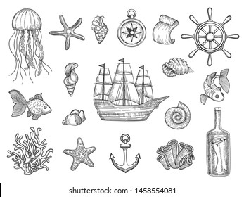 Marine-Symbole. Fisch Schiff Shells Segel-Symbole Segel-Boot Vektor nautische Sammlung. Illustration von Schiff, Muschel und Anker, Fisch und Seestern