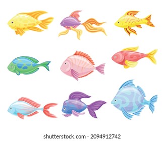 Marine tropical fishes set. Side view of beautiful colorful exotic fish vector illustration