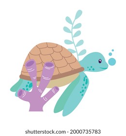 marine turtle between seaweed cartoon. vector illustration