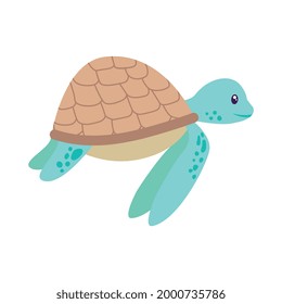 marine turtle cartoon isolated over white background. vector illustration