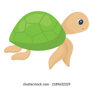 marine turtle design over white