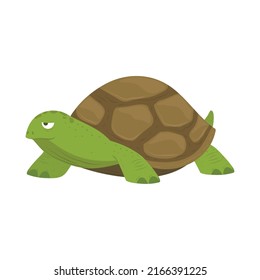 marine turtle reptile animal icon