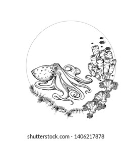 marine underwater background ,hand drawing ,vector, octopus, coral fish,seaweed
