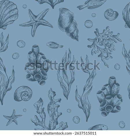 Marine underwater clip art with shells, sea sponges, corals, starfish, pebbles, seaweed, fish, bubbles. Graphic illustration hand drawn in dark blue ink. Seamless pattern on a blue EPS vector