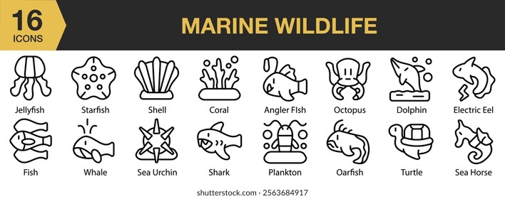 Marine Wildlife icon set. Includes jellyfish, starfish, coral, shell, dolphin, oarfish, and More. Outline icons vector collection.