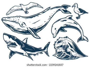 Marine wildlife set monochrome emblems with huge whale and shark near with ocean wave and seagull birds vector illustration