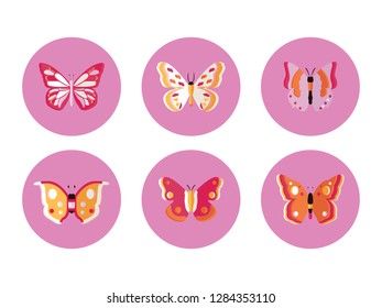 Mariposa Vector Pack Stock Vector (Royalty Free) 1284353110 | Shutterstock