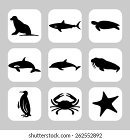 Maritime animals icon set