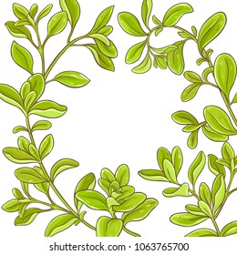 marjoram branch vector frame