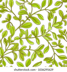 marjoram branch vector pattern