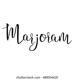 Marjoram. Calligraphic Text. Cooking Spice. Typographic Design. Black Hand Lettering Text Isolated on White Background. For Posters, Design. Vector illustration