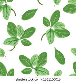 Marjoram green leaves seamless pattern. Vector illustration of fragrant herbs on white background in cartoon simple flat style.