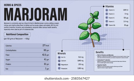 Marjoram Herb Nutrition Facts and Health Benefits–Detailed Vector Infographic for Healthy Eating and Wellness