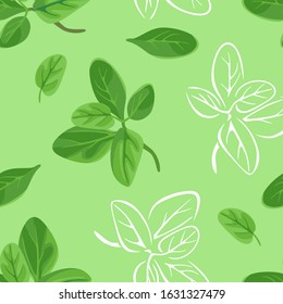 Marjoram leaves seamless pattern. Vector cartoon color illustration of green herbs on green background. White outline.