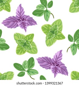 Marjoram, oregano, basil seamless pattern on a white background. Vector illustration of fragrant herbs in cartoon flat style.
