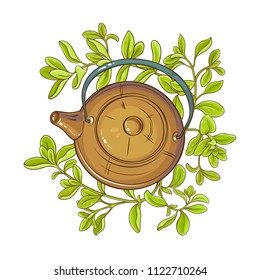 marjoram tea illustration