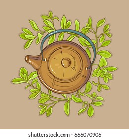 marjoram tea in teapot