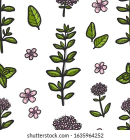 Marjoram vector seamless pattern. Grunge stylized leaves on white background. Colored aromatic leaf and flowers herb. Wrapping paper, wallpaper, textile design. Aromatherapy and alternative medicine.