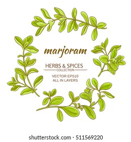 marjoram vector set on white background