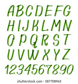 Marker letters and numbers. Vector hand written marker alphabet or calligraphic font. Writing green marker alphabet illustration