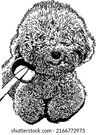 Marker Pen Drawing A Smiling Puppy