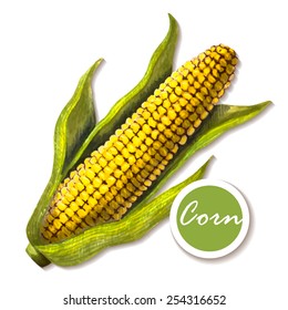 Marker sketch of corn on white background. Hand drawn vector illustration.