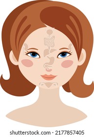 Markers of reflexology zones. Projection of the internal organs on the face of a woman. Vector illustration Isolated on white background