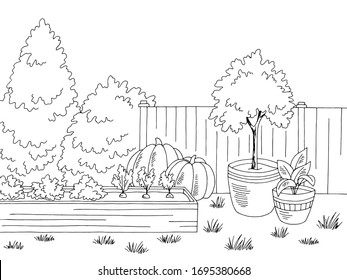 Market garden graphic black white landscape sketch illustration vector