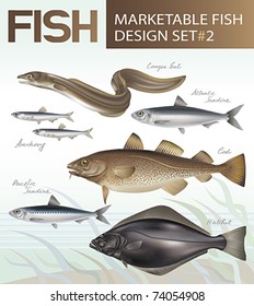 Marketable fish images design set 2. Vector illustration.