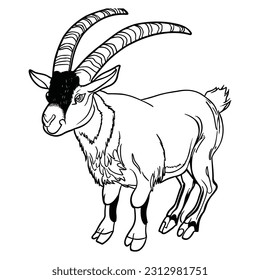 Markhor coloring pages cute picture kids coloring page line art black