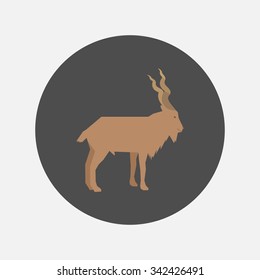 Markhor flat icon.