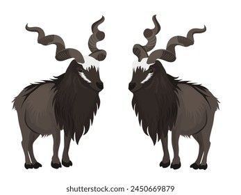 markhor on a white background.