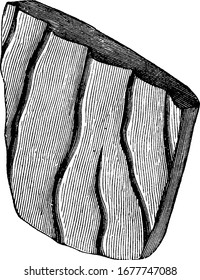 The marks created in mud or sand by flowing water, often found in sandstone, Showing three images of ripple marks stone in it, vintage line drawing or engraving 